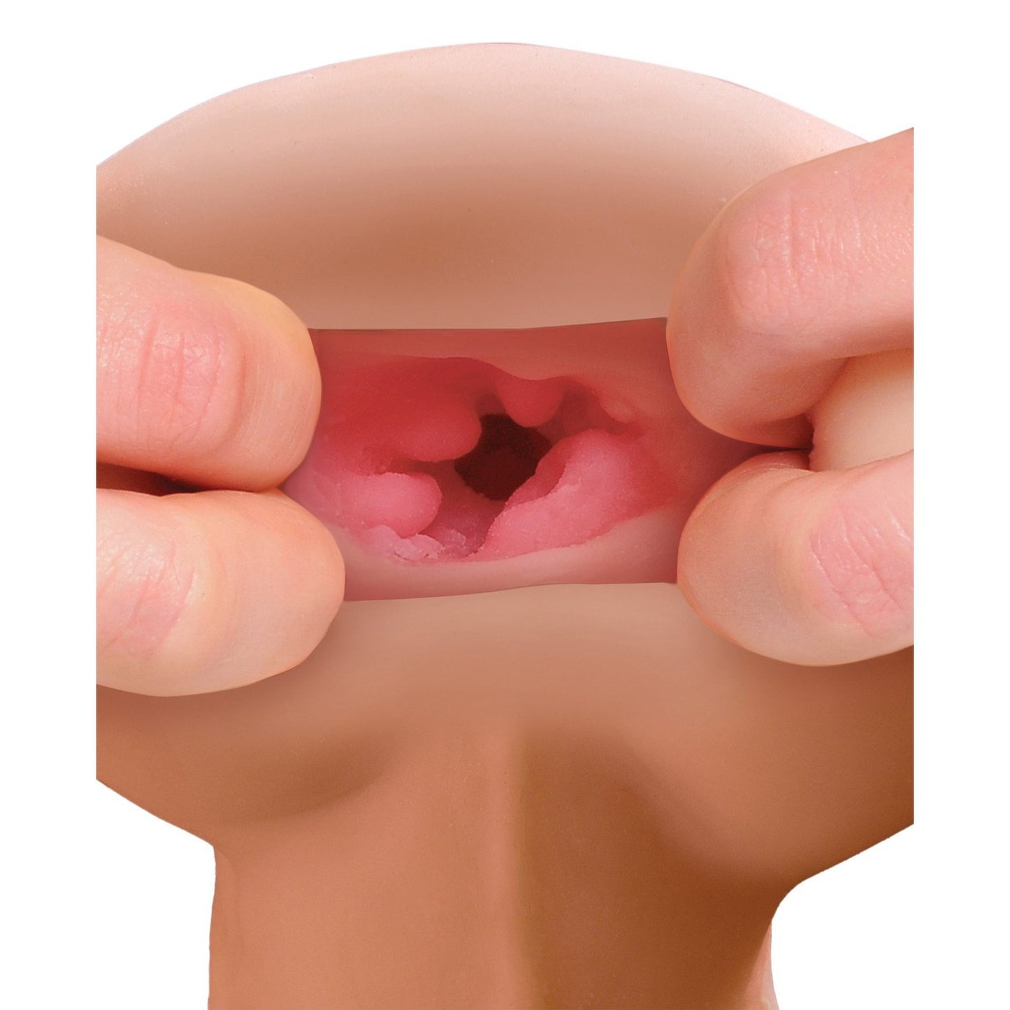 A person holds a realistic model of a human mouth, displaying the intricate textures and colors of the oral cavity. The detailed interior structures resemble those in the PDX Male Reach Around Stroker by PDX, providing an educational insight into human anatomy.