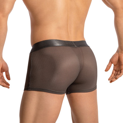 A person models the Agacio Boxer Mesh Trunks with Pouch, seen from the back. The semi-transparent mesh fabric highlights body contours, while the solid black waistband contrasts with the mesh. The figure is set against a plain white background.