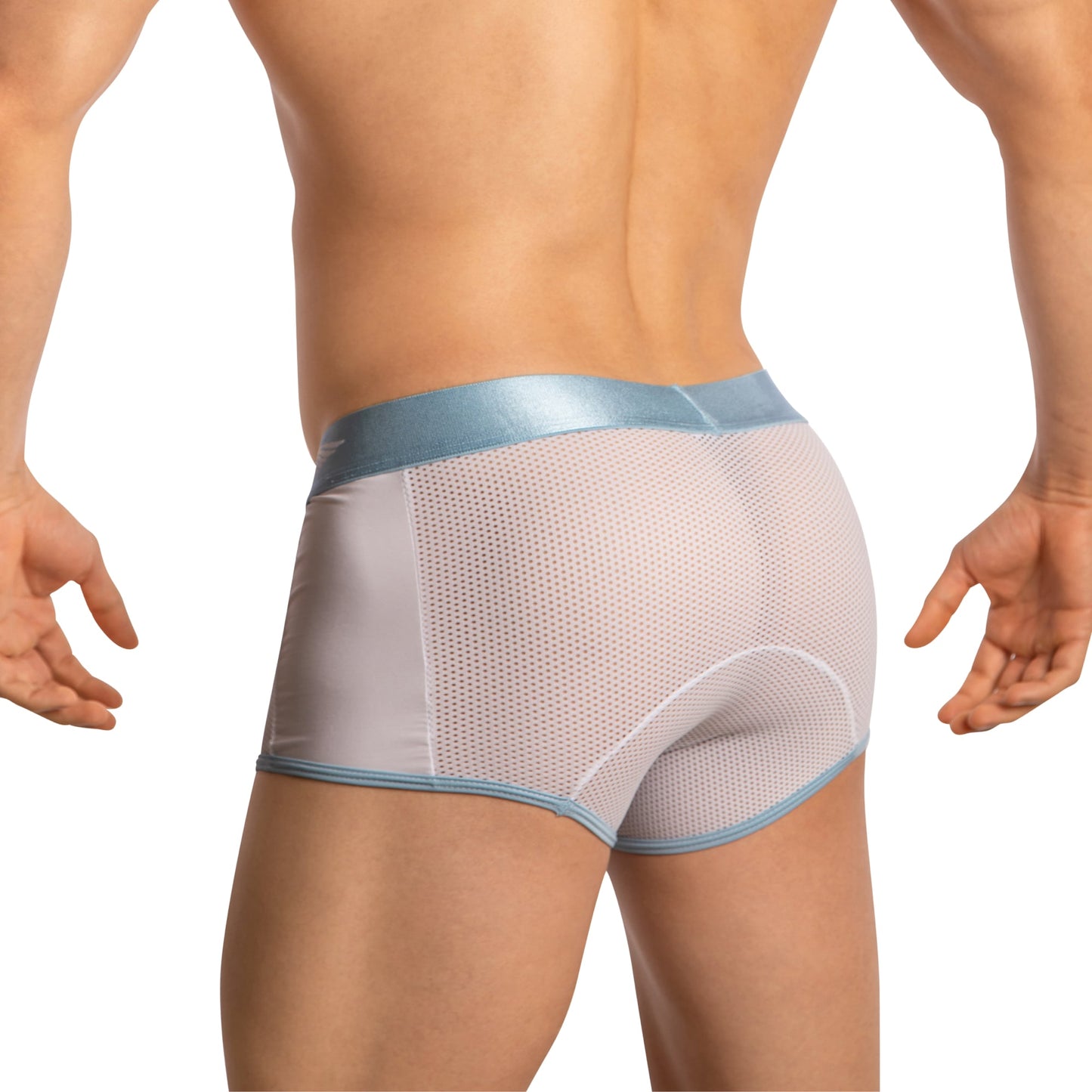 A person wearing Agacio Boxer Sheer Trunks in light blue is shown from the back, showcasing the design and texture. The solid contoured support waistband contrasts with the sheer mesh fabric. The plain white background emphasizes the garments features.