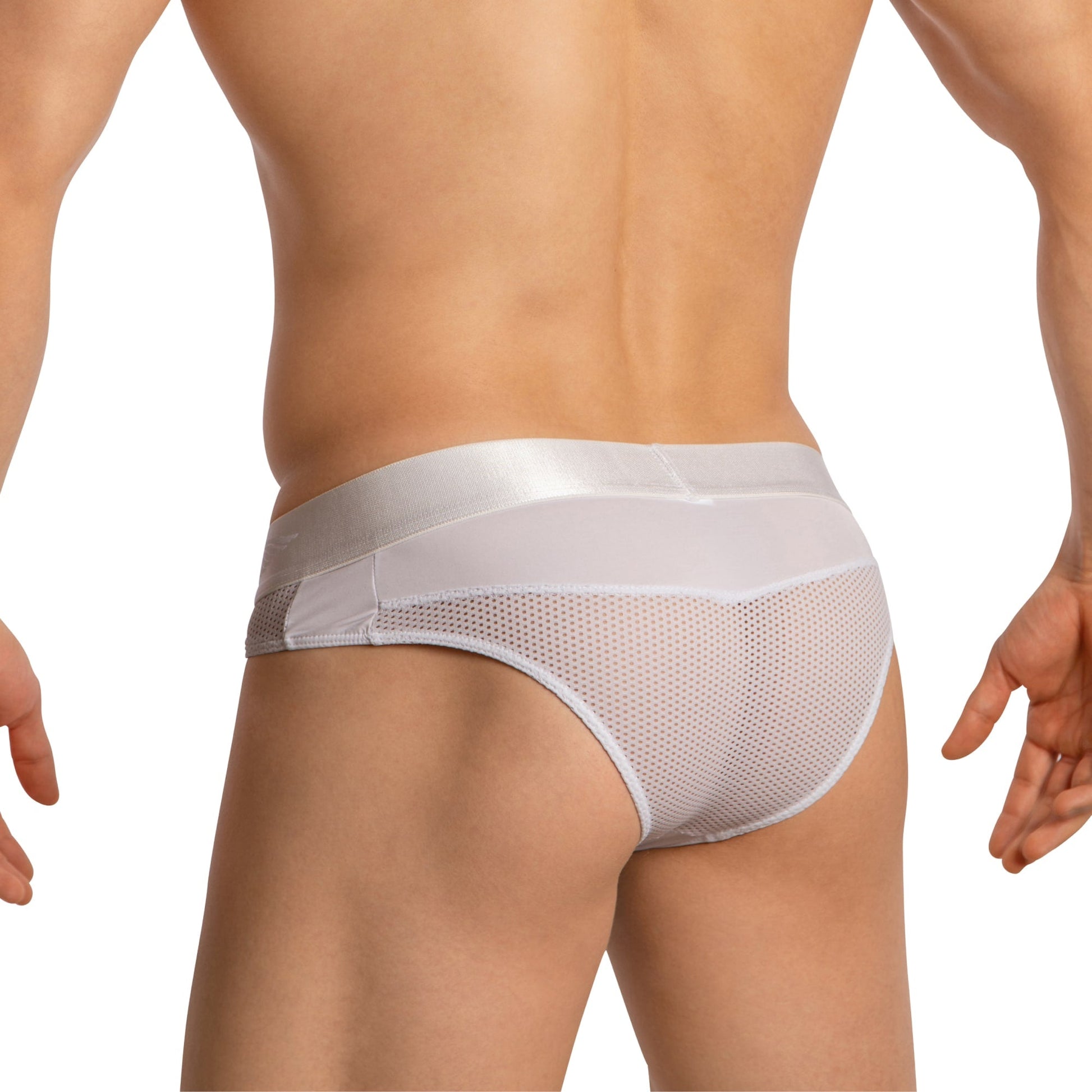A person wears Agacio Mens Sheer Briefs showcasing a contour pouch design. Seen from the back with arms at their sides, these briefs feature a solid waistband and a mix of solid and mesh fabric, emphasizing their luxurious appeal.