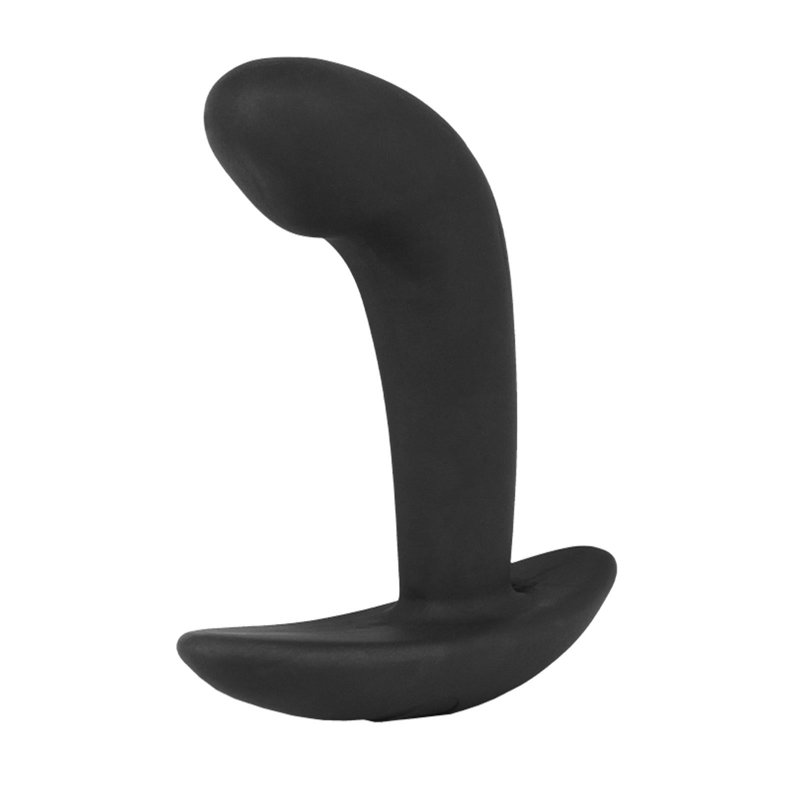 ElectraStim Electro Booty Buddy Prostate Massager