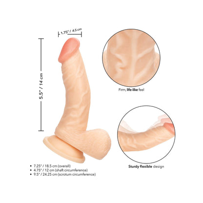 Working Stiff The Doctor