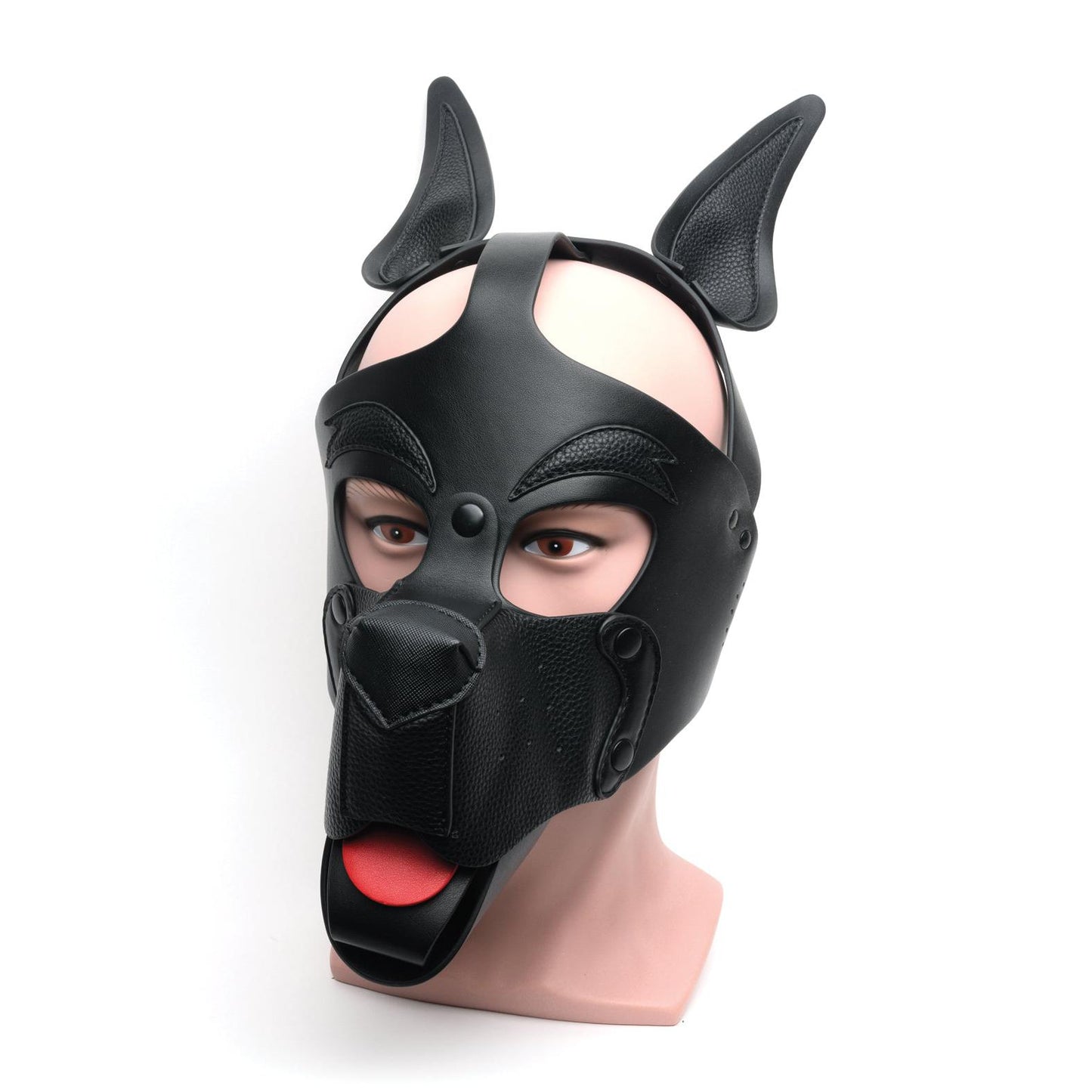 665 Playful Pup Hood