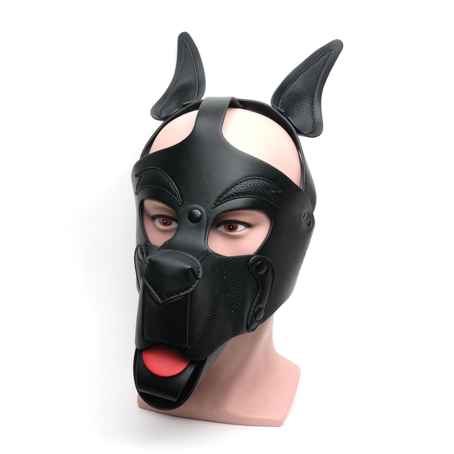 665 Playful Pup Hood