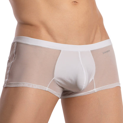 A person models the Daddy Enhanced Pouch Boxer Trunk made from breathable, sheer fabric by Daddy Underwear, highlighting its transparent design while keeping the upper body out of view.