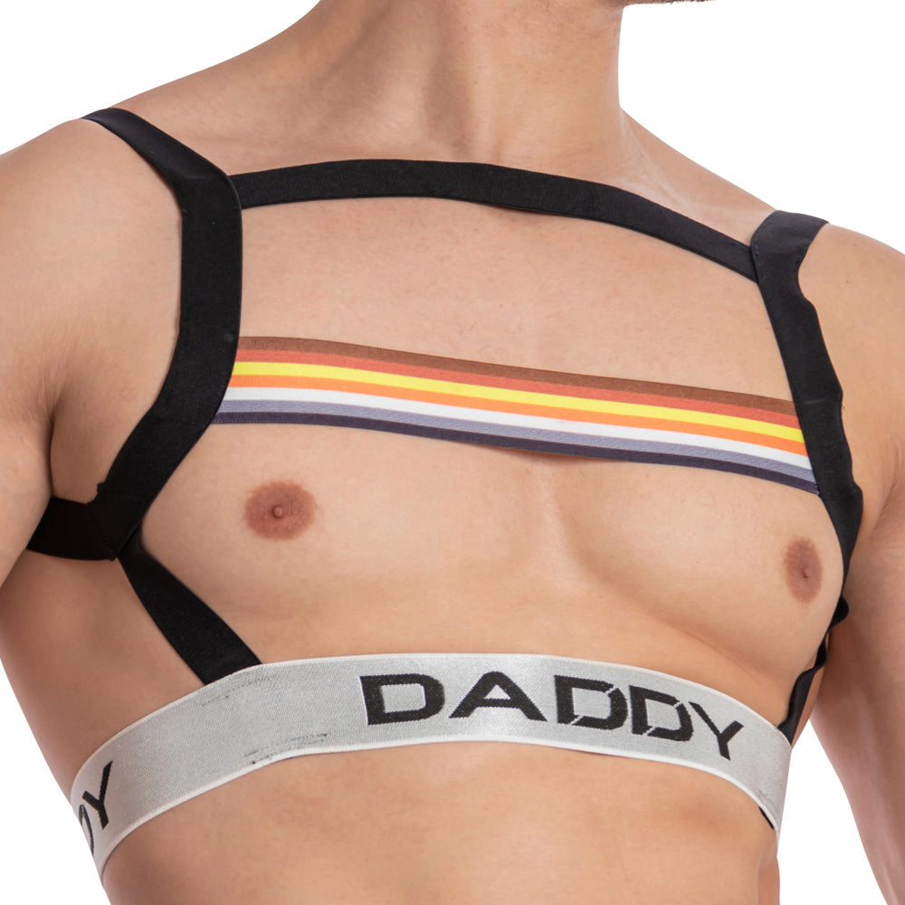 A person wears the Daddy I have Pride Bodysuit, featuring a harness-style top with black straps and a colorful horizontal chest stripe. The lower gray band boldly displays DADDY, and the piece has an open-back design against a plain white background.