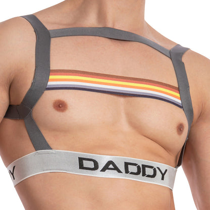 A person wears the Daddy I have Pride Bodysuit by Daddy, showcasing a grey harness with a colorful chest stripe and the word DADDY, featuring an open-back design for added flair.