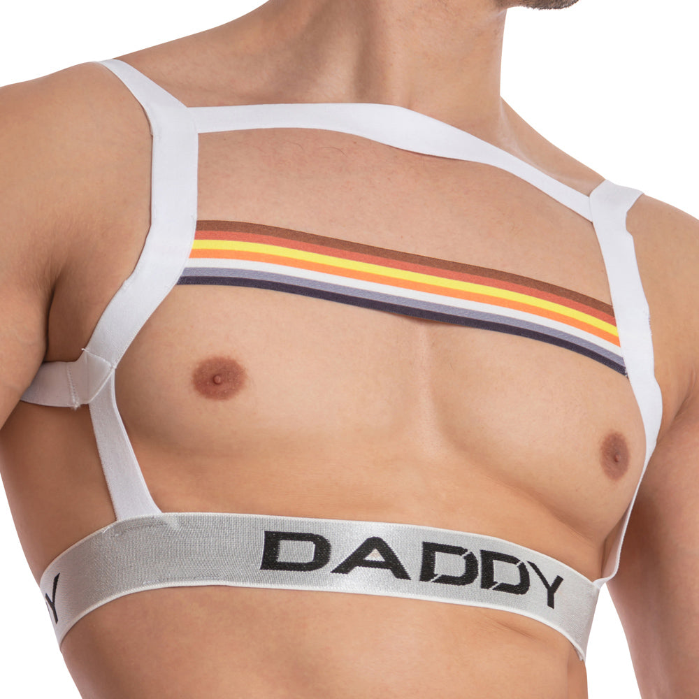 A person flaunts a Daddy I have Pride Bodysuit from Daddy, featuring stretchable bands, horizontal rainbow stripes, and DADDY printed around the waist. The open-back design stylishly reveals the chest.
