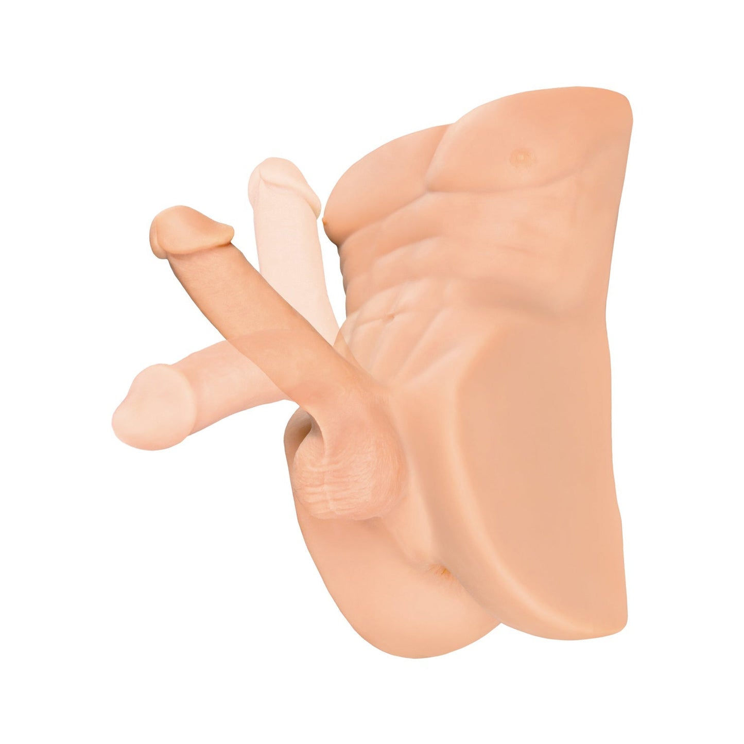 The PDX Plus Perfect Ride, a beige plastic anatomical model of the male pelvic region with detailed reproductive organs made from Fanta Flesh material, is showcased on a white background.