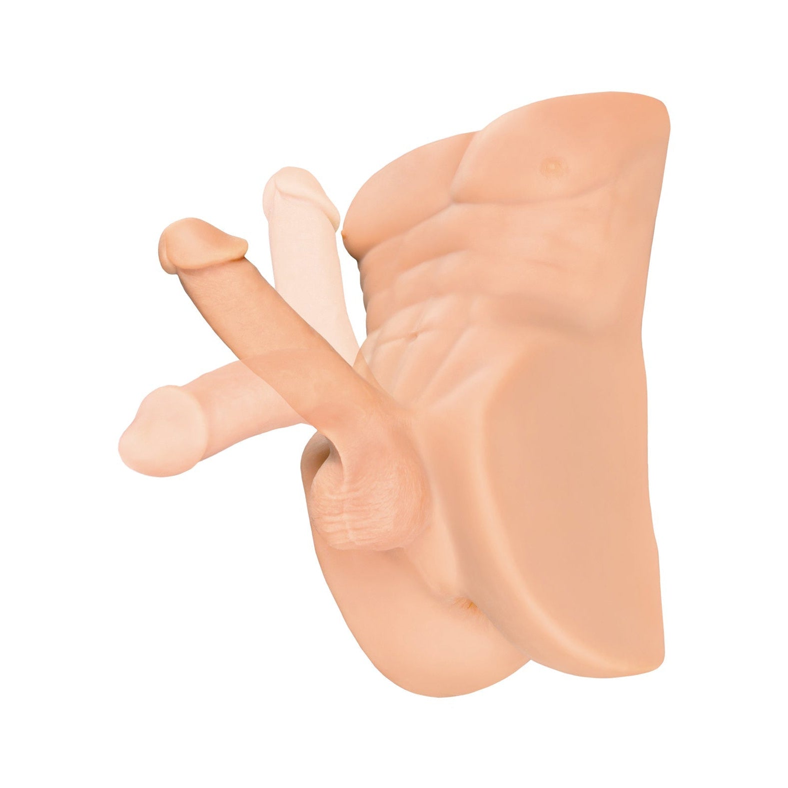The PDX Plus Perfect Ride, a beige plastic anatomical model of the male pelvic region with detailed reproductive organs made from Fanta Flesh material, is showcased on a white background.