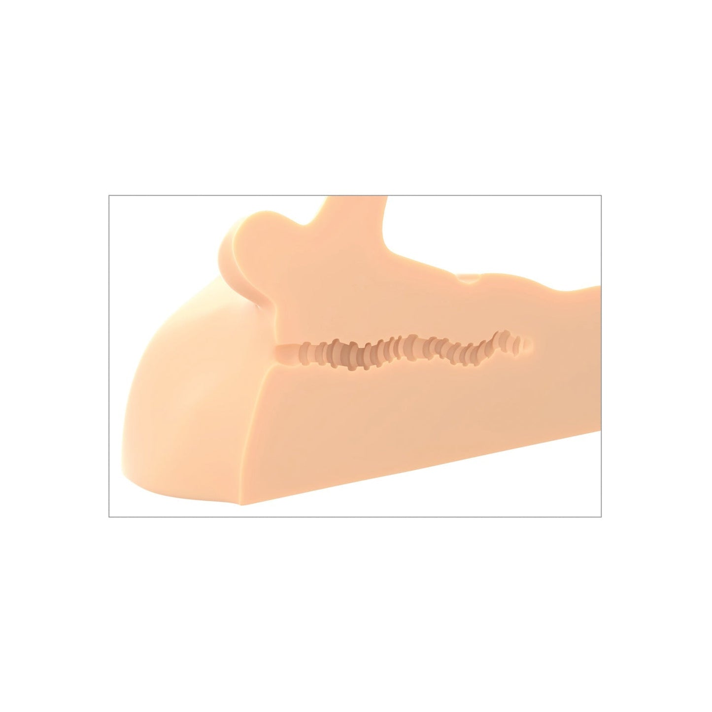 A close-up of the PDX Plus Perfect Ride, made from Fanta Flesh, highlights a detailed beige anatomical model of the human mandible with intricate grooves and contours against a white background.