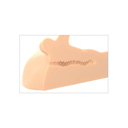 A close-up of the PDX Plus Perfect Ride, made from Fanta Flesh, highlights a detailed beige anatomical model of the human mandible with intricate grooves and contours against a white background.