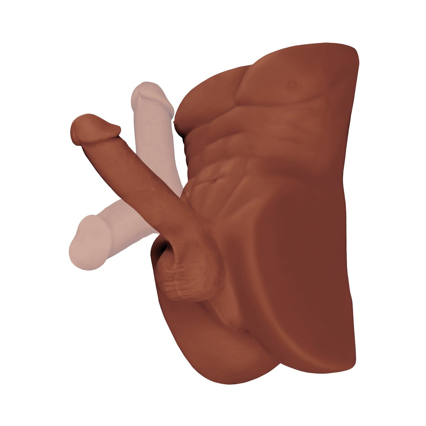 The PDX Plus Perfect Ride 3D anatomical model by PDX realistically showcases the pelvic area with external organs, using Fanta Flesh material and features detailed depiction of muscles and organs in two skin tones.