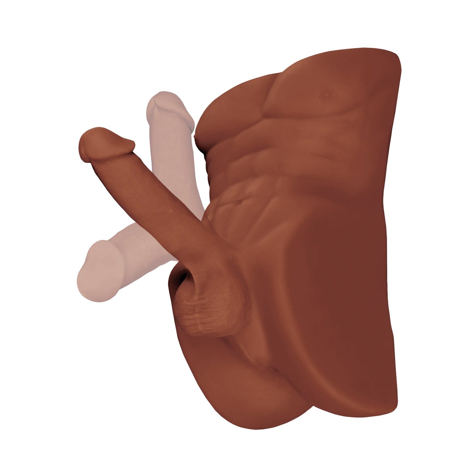 The PDX Plus Perfect Ride 3D anatomical model by PDX realistically showcases the pelvic area with external organs, using Fanta Flesh material and features detailed depiction of muscles and organs in two skin tones.