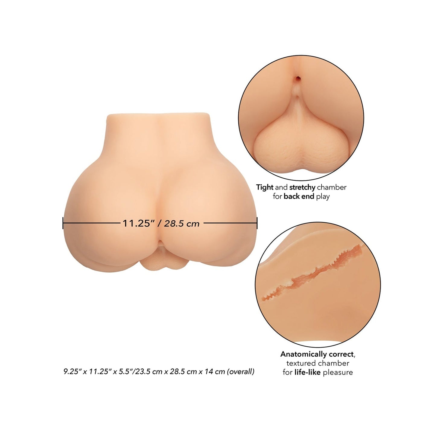 Image of a realistic rump model showcasing texture and chamber design, crafted from Pure Skin® material. Dimensions are 9.25x11.25x5.5/23.5cm x 28.5cm x 14cm, making the Stroke It Bottom Banger by California Exotic Novelties the ideal booty banger accessory for intimate use.