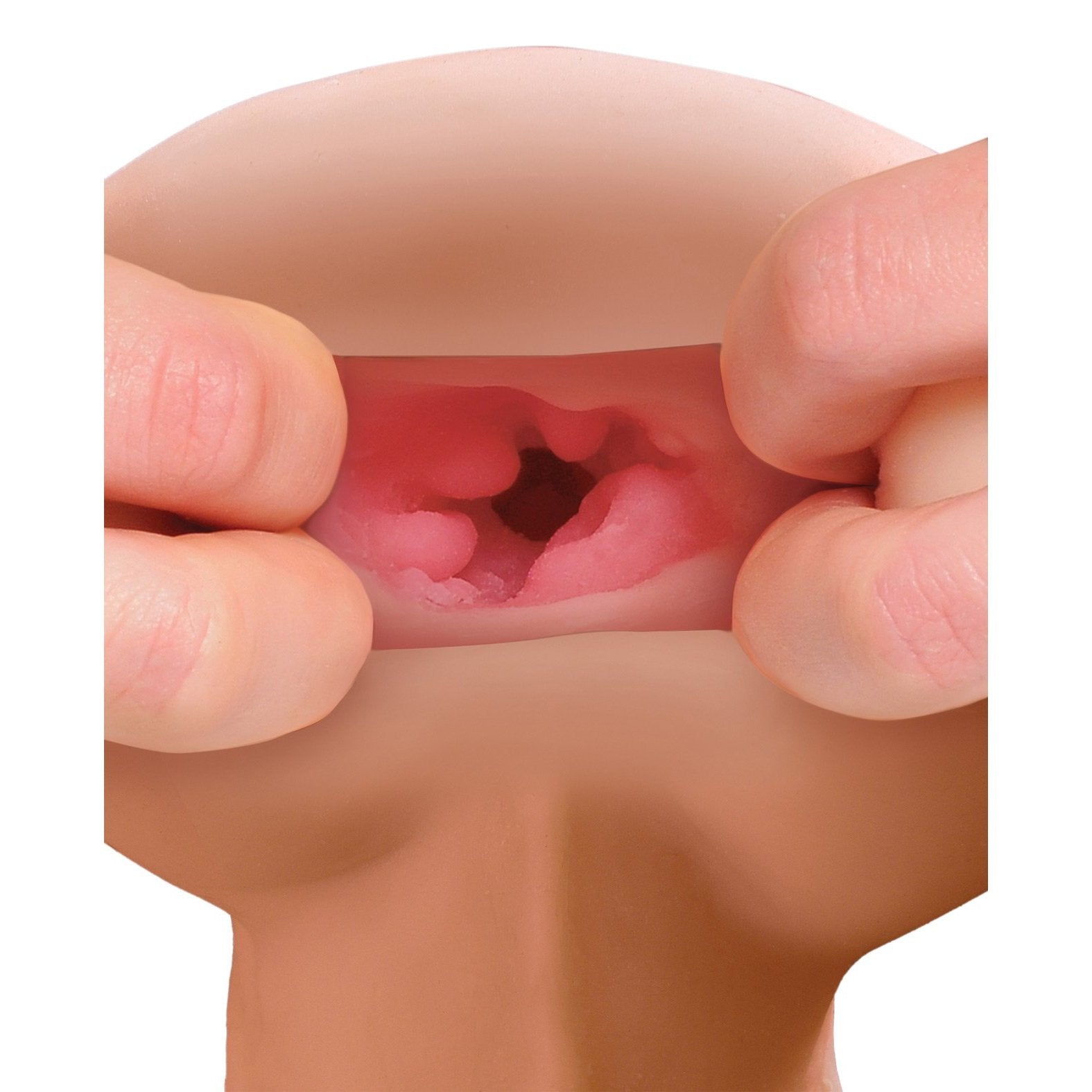 A person holds a realistic model of a human mouth, displaying the intricate textures and colors of the oral cavity. The detailed interior structures resemble those in the PDX Male Reach Around Stroker by PDX, providing an educational insight into human anatomy.