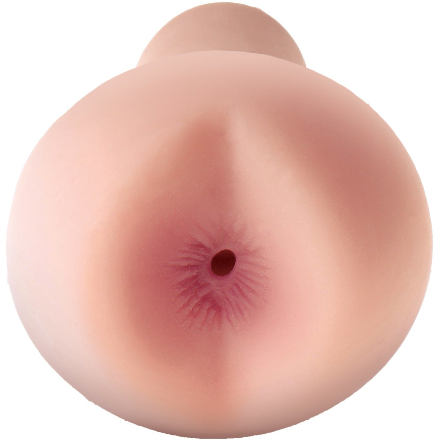 A close-up view shows a round object, similar to smooth, flesh-toned material with a central opening, likely Pipedreams Fill My Tight Ass Masturbator from Pipedream Extreme Toyz.